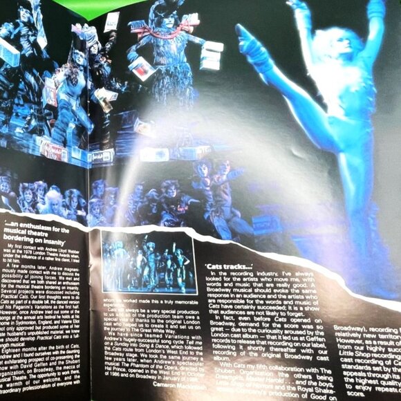 Cats Musical Joseph Technicolor Dreamcoat Broadway Souvenir Program Donny Osmond - Picture 7 of 16